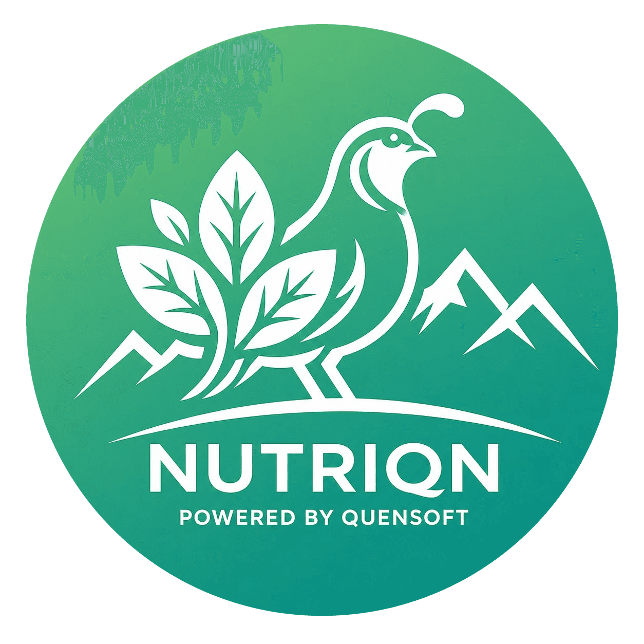 Nutriqn logo